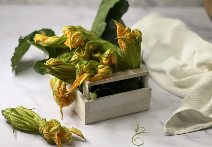 Fiori di zucca freschi, pronti per essere trasformati in deliziose frittelle in pastella. Un cestino di legno li contiene, con qualche fiore sparso sul piano di marmo.