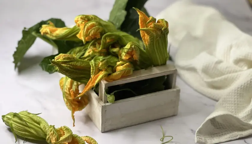 Fiori di zucca freschi, pronti per essere trasformati in deliziose frittelle in pastella. Un cestino di legno li contiene, con qualche fiore sparso sul piano di marmo.