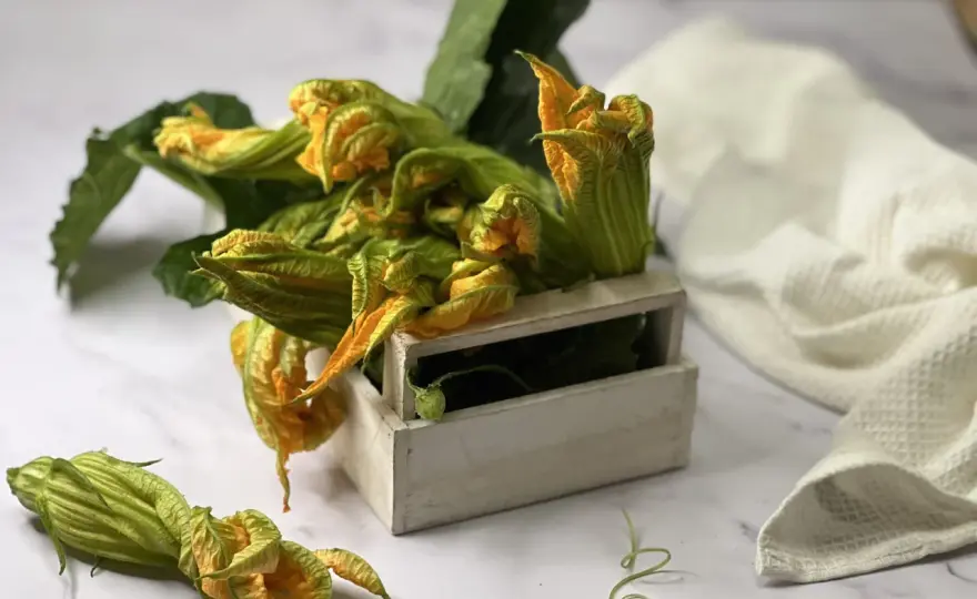 Fiori di zucca fritti perfetti - La ricetta che funziona