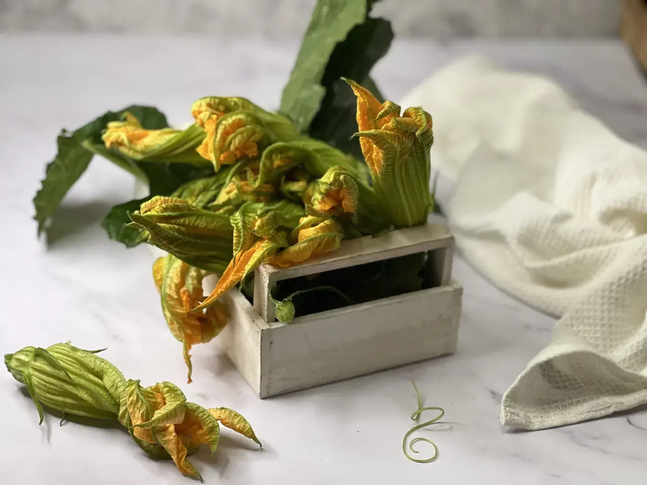 Fiori di zucca freschi, pronti per essere trasformati in deliziose frittelle in pastella. Un cestino di legno li contiene, con qualche fiore sparso sul piano di marmo.